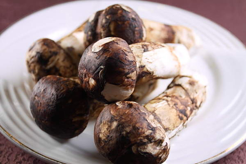 不時不吃滋補(bǔ)松茸宴 秋季進(jìn)補(bǔ)佳品