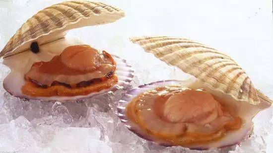 秋季最適合吃的海鮮是這10種 你吃對(duì)了嗎？