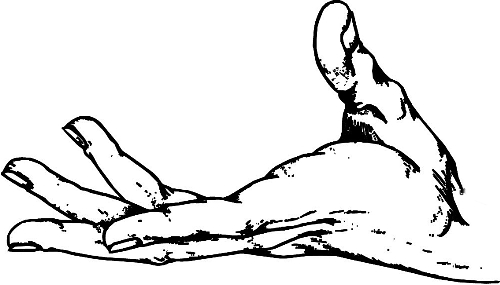 　時間：拿到通知書，未報到就可申請