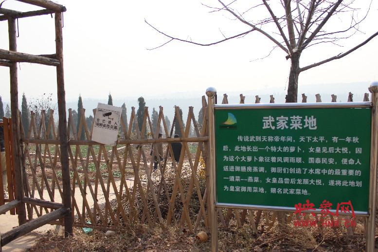 武家菜地就是這，據(jù)說(shuō)里面有個(gè)特大的蘿卜