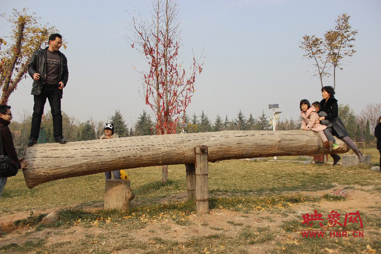 巨大的蹺蹺板，一棵樹(shù)。。?？赐娴亩噜? oldsrc=