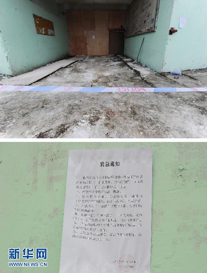 上海6日起暫?；钋萁灰?關(guān)閉所有活禽交易市場