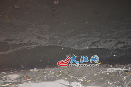 19日晚上的玉帶河，紅色河水變回灰綠色。