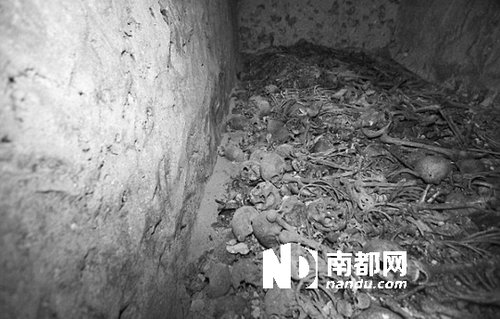 　5月29日，在以色列特拉維夫市雅法地區(qū)，一處集體墳?zāi)贡话l(fā)現(xiàn)。