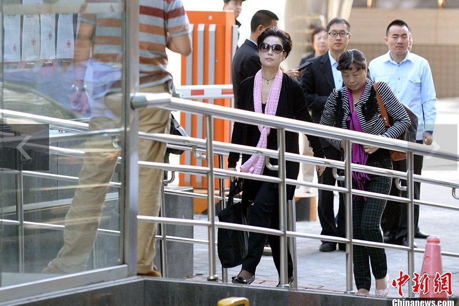 夢鴿現(xiàn)身海淀法院。中新網(wǎng)記者 金碩 攝