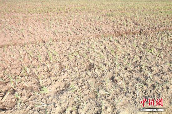 2014年7月31日早晨，浙江紹興市區(qū)蔬菜批發(fā)市場旁邊的土地已經(jīng)發(fā)生開裂。