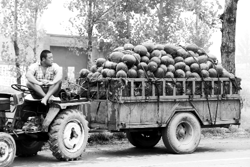 　看著滿滿一車瓜，一瓜農(nóng)愁眉不展。