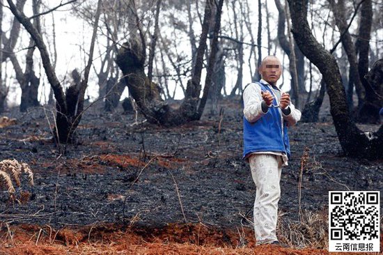 山林被燒得滿目瘡痍。