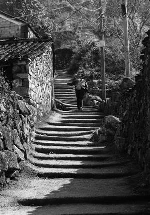 偏遠山村半數老人守“空巢” 有的村狗比人還多