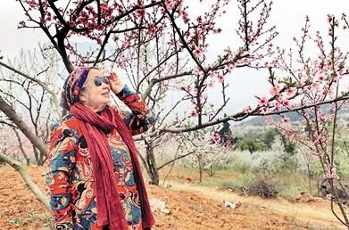 公式“時(shí)尚奶奶”的賞花照，收獲了好多人的點(diǎn)贊。 受訪者供圖