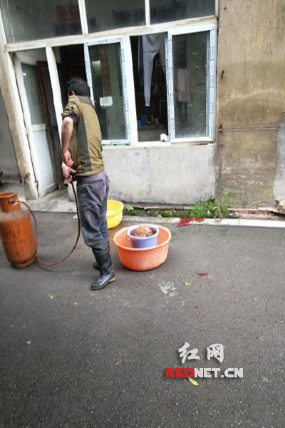 5月8日，男子在校園里殺狗，地上殘留一塊血跡。目擊者供圖。