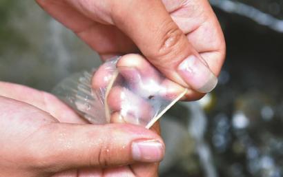 避孕套存在小孔。