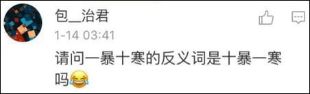 鶴立雞群？雞立鶴群！