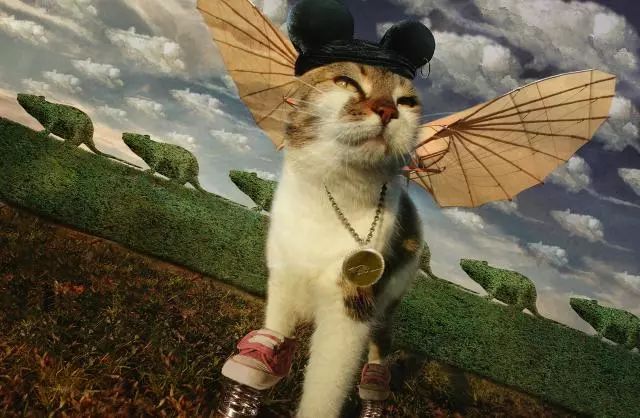 一只虛擬寵物貓叫價13億元？云養(yǎng)貓成真