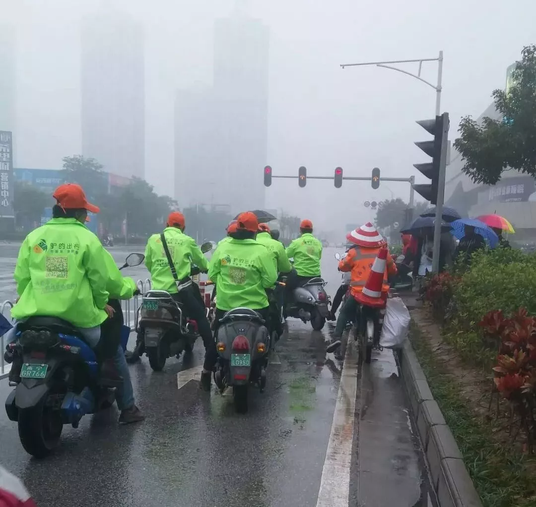 出門打驢？ 南寧“滴滴打驢”被緊急叫停