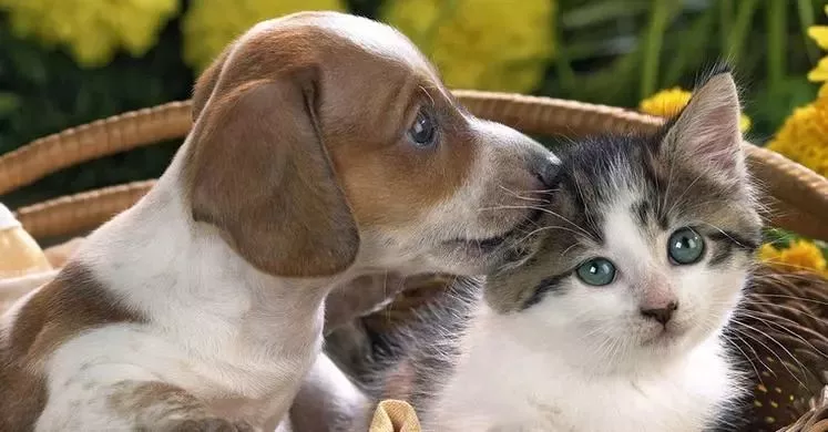 可憐！12歲女孩右眼完全失明 只因平時(shí)有這愛(ài)好