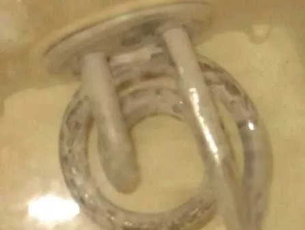 太惡心！女游客竟用酒店燒水壺煮自己的臟內褲