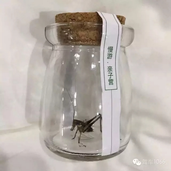 看看我的成果吧！