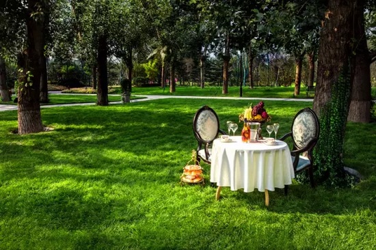 秋陽(yáng)鴻園，芳草青青