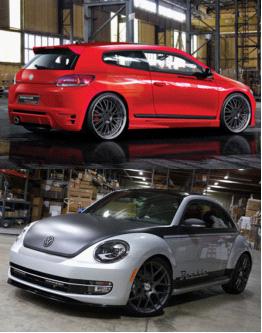 尚酷、甲殼蟲