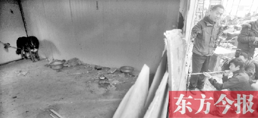 12月4日，鄭州市未來(lái)路與隴海路交叉口西側(cè)，執(zhí)法人員用吹管麻醉針對(duì)付一只藏獒