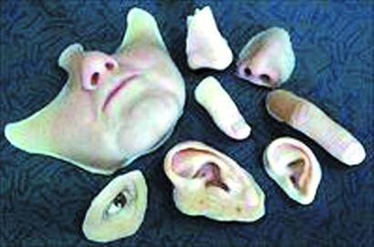 青島小偷用豬皮做人臉易容 超逼真堪比畫(huà)皮 青島小偷用豬皮做人臉易容 超逼真堪比畫(huà)皮