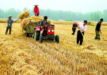 6月1日，舞鋼市礦建街道張我莊村幫扶隊員在幫村民收秸稈。