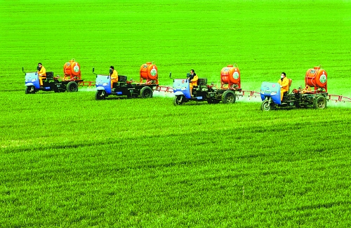 車載噴霧機(jī)奔駛在萬畝高產(chǎn)田里。