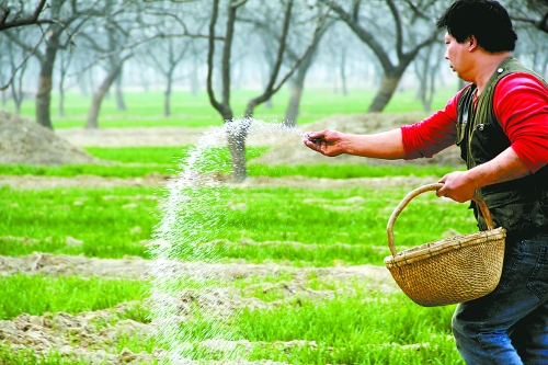 3月18日，內(nèi)黃縣城關(guān)鎮(zhèn)農(nóng)民在給小麥?zhǔn)┓省Ｑ巯抡嵌←湻登嗟年P(guān)鍵時(shí)期，內(nèi)黃縣廣大農(nóng)民積極開展以澆水