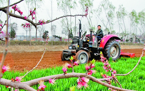 　　3月25日，武陟縣龍?jiān)崔k事處東馬曲村村民正在田里耕作。時(shí)下正值春耕時(shí)節(jié)，武陟農(nóng)民紛紛抓住有利時(shí)機(jī)
