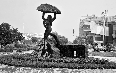 8月28日，南陽(yáng)街頭繁花似錦，市民宛若行走在花海之中。