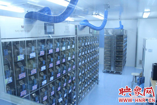 “鼠村”里每一個籠子是一家?！按濉崩镒≈?萬只左右的小鼠