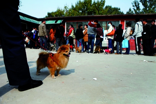 辦證點(diǎn)排起長隊(duì)