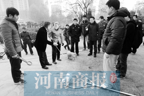 一只辦過(guò)狗證的小白狗，因?yàn)闆](méi)有拴犬鏈，被執(zhí)法人員暫扣
