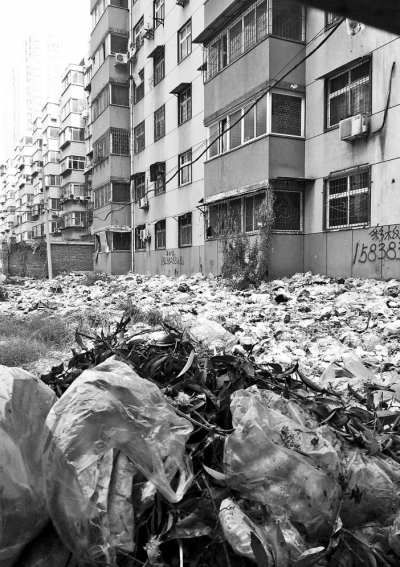 透過(guò)擋板縫向內(nèi)看，30多米垃圾已經(jīng)將居民樓包圍。