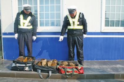 民警查獲的乘客行李包中，裝的全是獼猴。