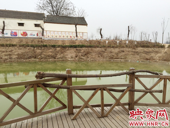 護欄損毀的地方，已經(jīng)被兩根樹干擋住。