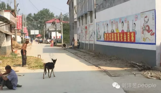 孫莊村一角。新京報記者安鐘汝 攝