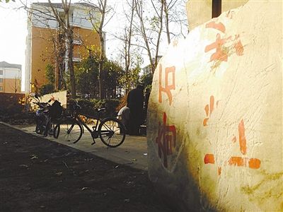 昨日，“上海奇石盆景博物館”原址上，已矗立起小區(qū)樓盤，而刻著博物館名的巨石，廢棄在一旁。本版圖片/新京報記者 張永生 攝