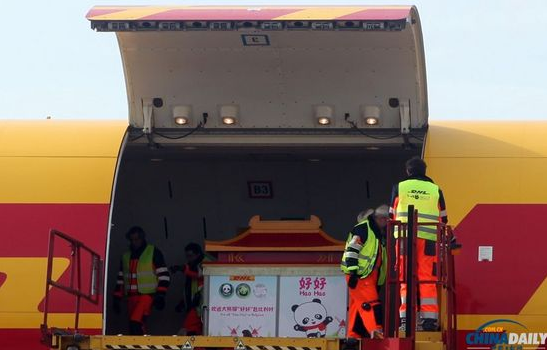 大熊貓“好好”抵達布魯薩爾國際機場。記者 付敬 攝