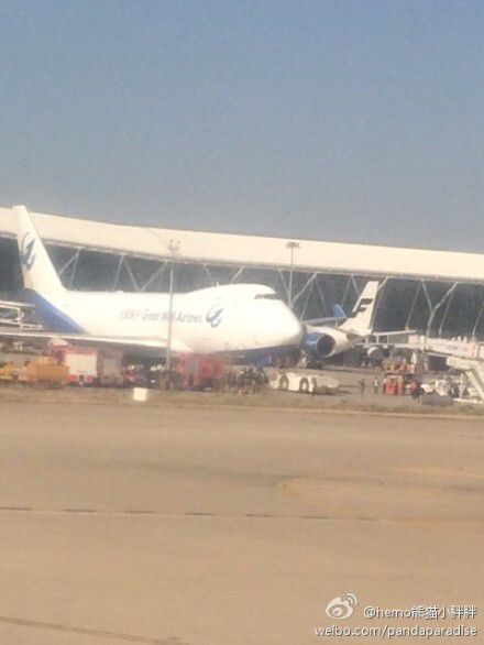 圖說：發(fā)生事故的飛機。圖片來源：新浪微博網(wǎng)友圖（請私信“新民晚報新民網(wǎng)”以奉稿酬）