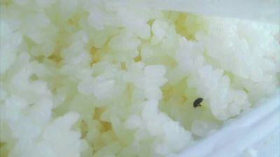 陸先生在高鐵上購買的“梅菜扣肉套餐”盒飯。盒飯中的米飯上有芝麻狀的黑色小蟲。