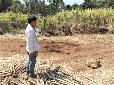 昨日，在大水桑樹村，村民向記者展示13日造成5死8傷的炸彈事件彈坑。