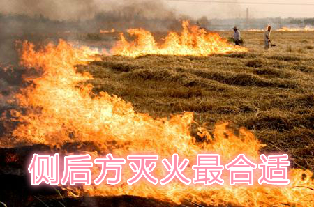 不要在風(fēng)頭上打火：風(fēng)正大，火正旺，最容易傷人；