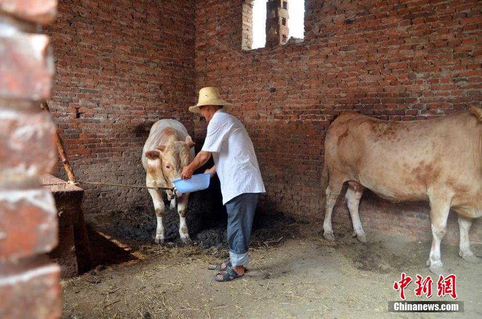 同時(shí)，地下水位的持續(xù)下降以及部分山泉水的干涸，已造成全縣2.85萬(wàn)人和2000頭大牲畜出現(xiàn)飲水困難。