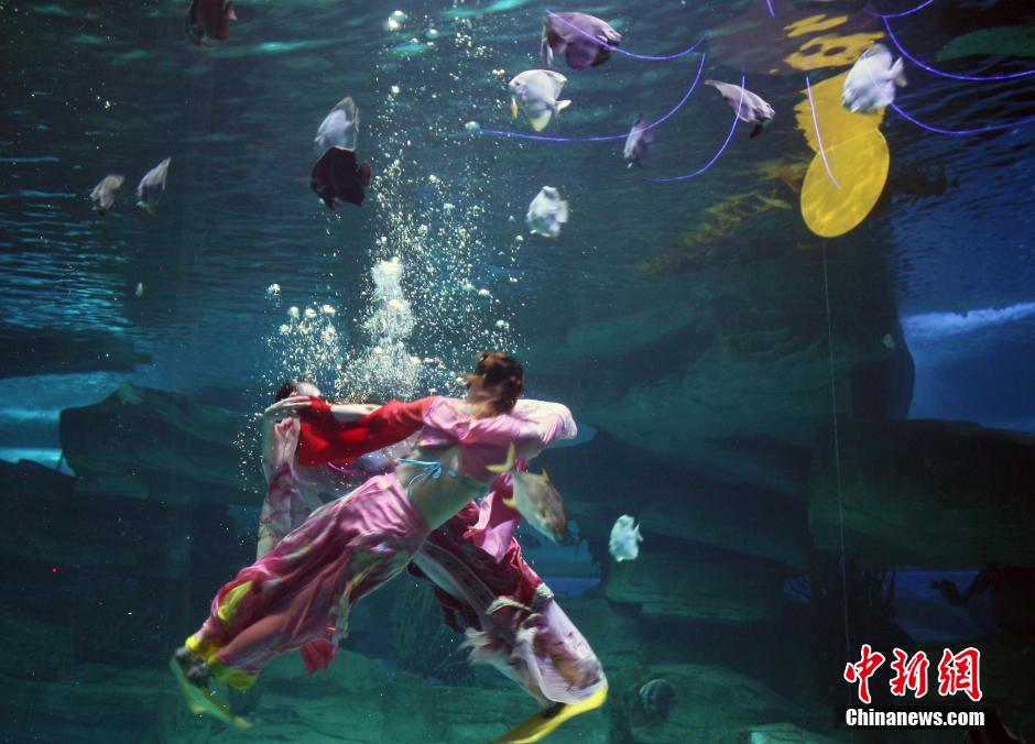 9月7日，在中秋節(jié)到來(lái)前一天，山東泉城海洋極地世界為游客帶來(lái)“嫦娥水中奔月”表演。