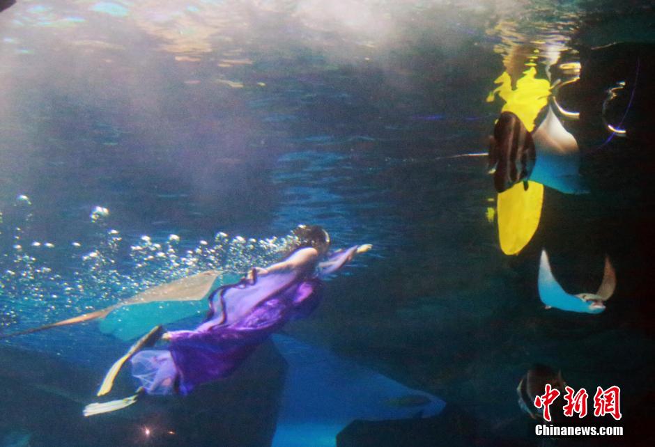 9月7日，在中秋節(jié)到來(lái)前一天，山東泉城海洋極地世界為游客帶來(lái)“嫦娥水中奔月”表演。