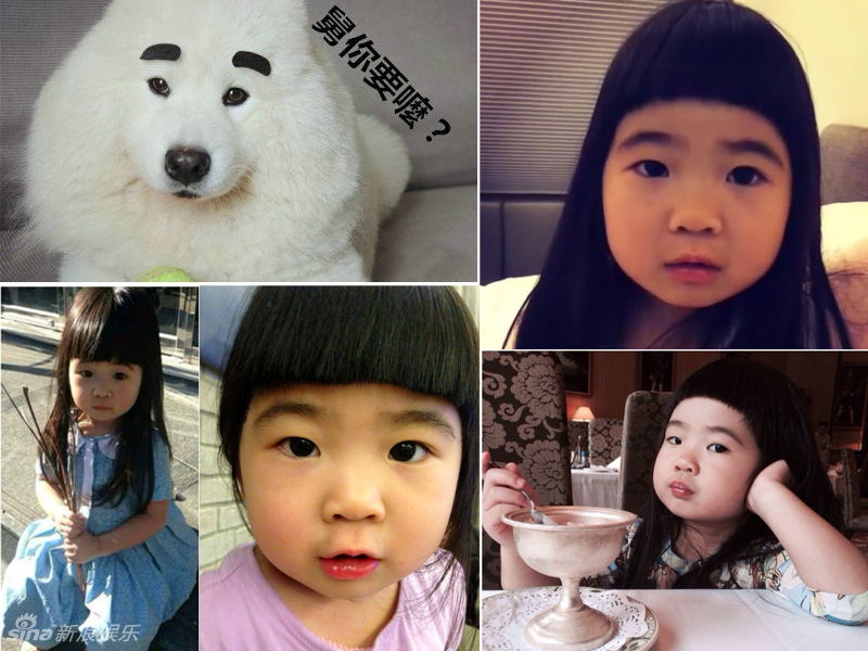 不小心就撞臉了！盤點(diǎn)動(dòng)物界的明星相