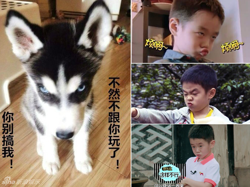 不小心就撞臉了！盤點(diǎn)動(dòng)物界的明星相