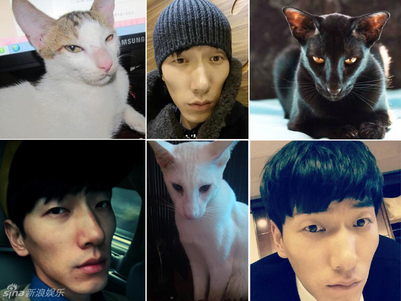 不小心就撞臉了！盤點(diǎn)動(dòng)物界的明星相